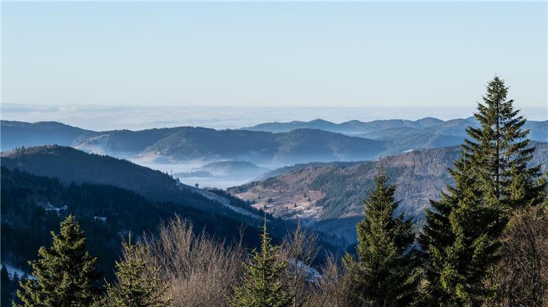 Zum Start in das letzte Wochenende des Jahres kommt etwas mildere Luft nach Deutschland 