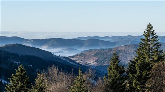 Zum Start in das letzte Wochenende des Jahres kommt etwas mildere Luft nach Deutschland 
