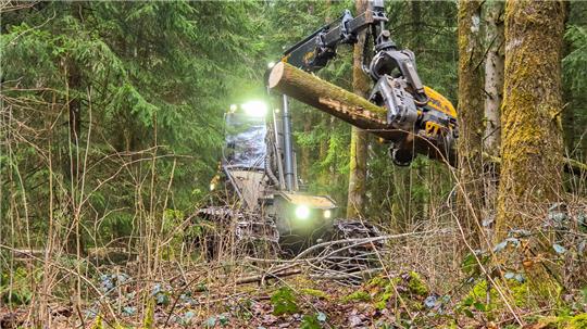 Ein Harvester transportiert einen frisch gefällten Baumstamm.