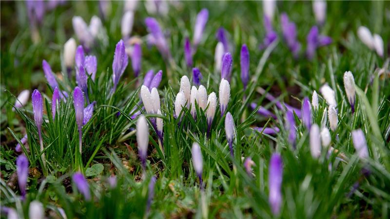 Zum Wochenstart bleibt es sonnig und mild, dann wird es deutlich kälter. (Archivbild)