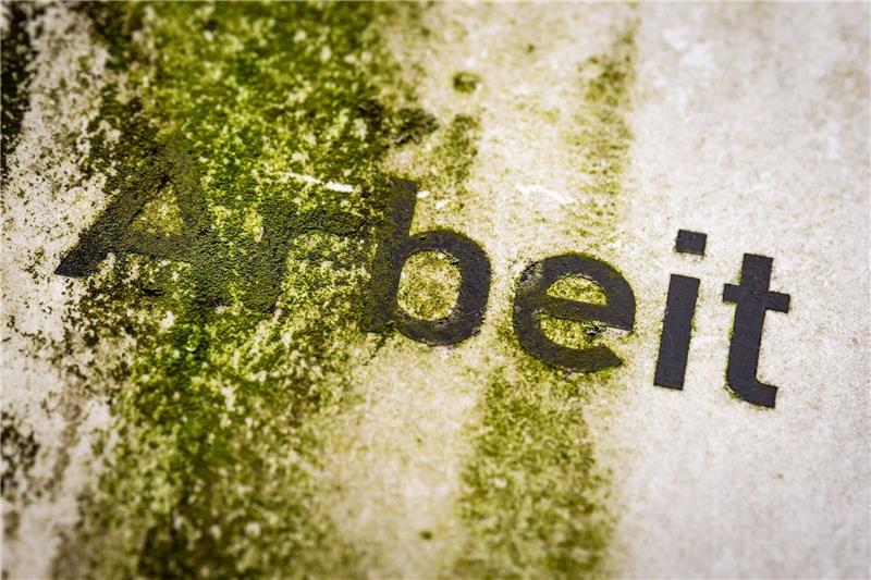 Mehr als drei Millionen Erwerbslose wollen arbeiten Zur «Stille Reserve» für den Arbeitsmarkt zählen die Statistiker rund 3,1 Millionen Erwerbslose.
