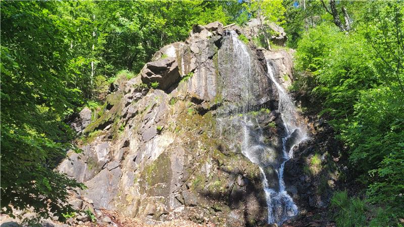 Der Radau-Wasserfall. Um ihn herum stehen Bäume.