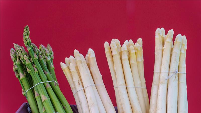Zwar werden für weißen und grünen Spargel meist unterschiedliche Sorten verwendet, die Ursache der Färbung liegt aber in der Anbaumethode.