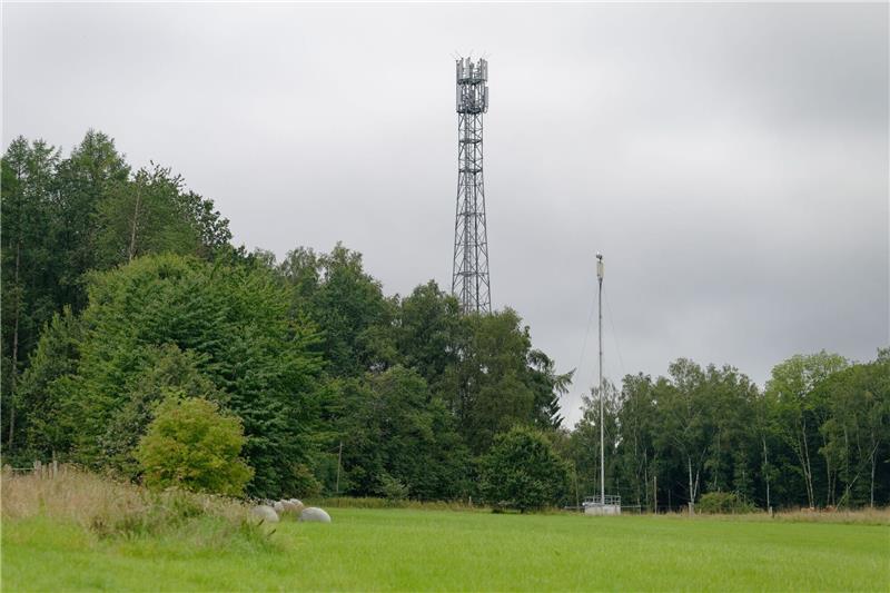 Zwei Funkmasten stehen am Waldrand im Westerwald.