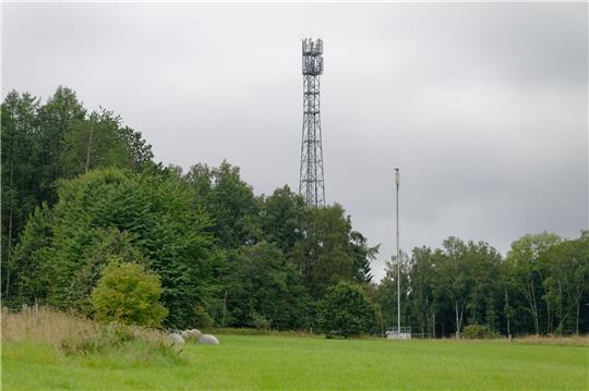 Zwei Funkmasten stehen am Waldrand im Westerwald.