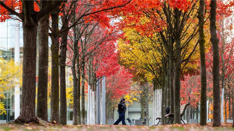 Zwei Polizisten gehen im Regierungsviertel zwischen bunt gefärbten Bäumen. 