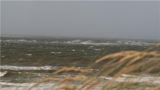 Zwei Segler geraten vor der Insel Norderney in Seenot. (Symbolbild)