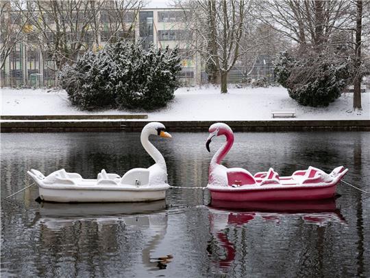 Zwei Tretboote in Form eines Schwans und eines Flamingos auf der Havel in Potsdam.