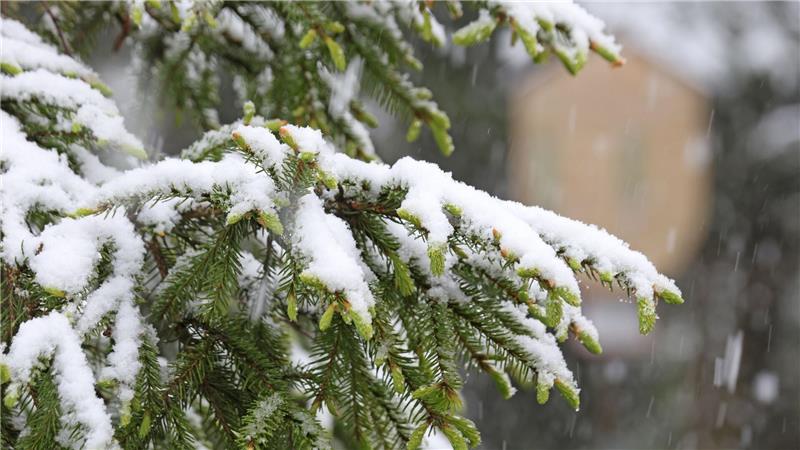 Zwei bis drei Zentimeter Schnee lagen am Vormittag auf dem Brocken. (Symbolbild)