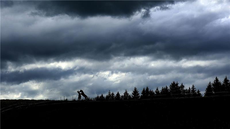 Zwei junge Pferde spielen unter einem Himmel voller dunkler Wolken auf einer Weide in Aitrang in Bayern.
