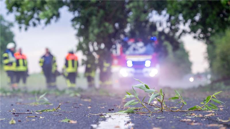 Zweige und Äste fielen auf Straßen. 