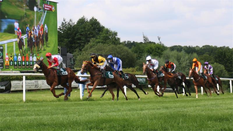 Mehrere Jockeys reiten auf Pferden auf einer Grasrennbahn mit einer großen Videoleinwand im Hintergrund.