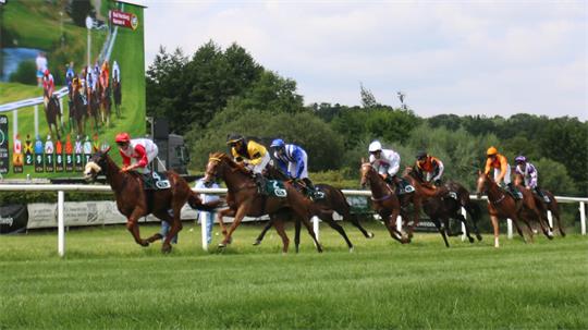 Mehrere Jockeys reiten auf Pferden auf einer Grasrennbahn mit einer großen Videoleinwand im Hintergrund.