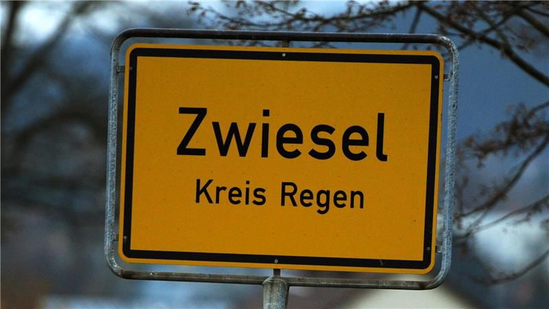 Verdächtiger weist Polizei auf drei Leichen in Zwiesel hin Zwiesel ist eine Kleinstadt mit rund 9.000 Einwohnern unweit der Grenze zu Tschechien. (Archivbild)
