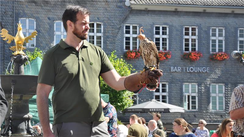 Zwischen Goldadler und Federvieh: Falkner Thomas Andres hat einen jungen Habicht zum Wilden Goslar mitgebracht.
