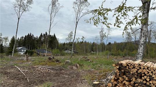 Zwischen Von-Langen-Wanderweg sowie Tennisplätzen und Tennishalle soll in Braunlage in der Kollie ein Baugebiet entstehen.