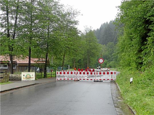 Zwischen dem 7. und 19. November steht wieder eine Vollsperrung  der Steile-Wand-Straße an, die Landesforsten beseitigen Borkenfichten. Foto: GZ-Archiv