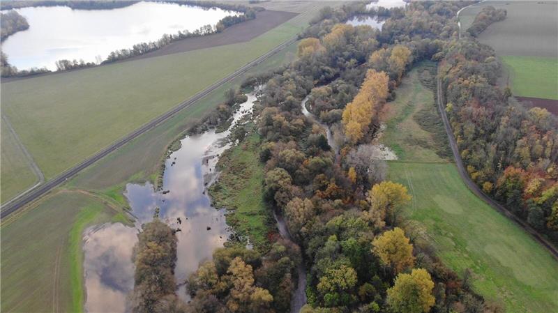 Neuer Seitenarm der Oker: Droht Schladen neue Hochwassergefahr? Zwischen den Bäumen fließt die Oker, links ist der neue Seitenarm zu sehen, der über Wiesen fließt. Oben am Bildrand sind alte Kiesteiche zu erkennen.