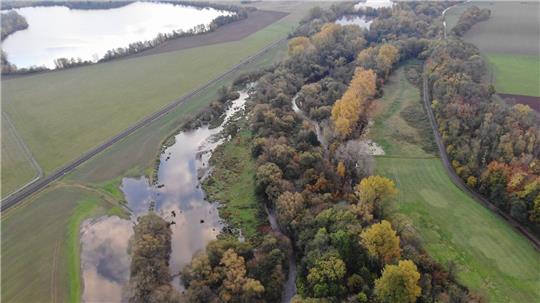 Zwischen den Bäumen fließt die Oker, links ist der neue Seitenarm zu sehen, der über Wiesen fließt. Oben am Bildrand sind alte Kiesteiche zu erkennen.