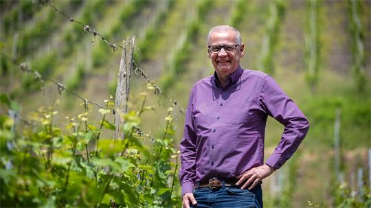 Zwischen den Riesling-Reben: Abseits des Fernsehstudios ist Günther Jauch gerne auf seinem Weingut an der Saar. (Archivbild)