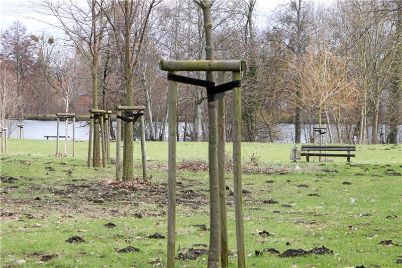 Zwischen den angepflanzten Bäumen mit Blick auf die Teiche soll der Outdoor-Fitnesspark entstehen. Foto: Gereke