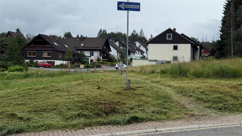 Das Foto zeigt eine Wiese, über die ein Trampelpfad verläuft.