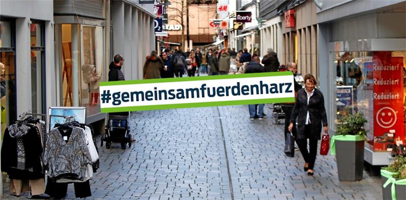 <p>Bei der neuen Plattform "Gemeinsam für den Harz" können sich lokale Unternehmen präsentieren. Foto:GZ-Archiv/Montage: Franke</p>