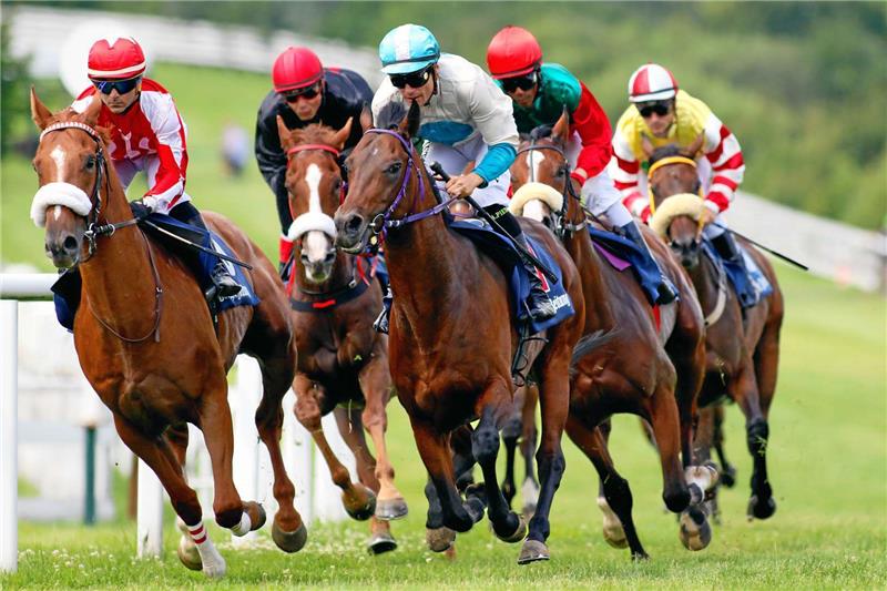 <p>Das Programm steht: Auch bei der 139. Auflage der Bad Harzburger Galopprennwoche können sich die Turffreunde aus Deutschland und dem benachbarten Ausland wieder auf spannende Rennen freuen. Foto: Epping</p>