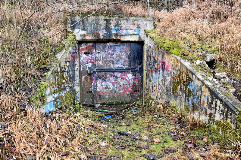 Stollen am Petersberg: Stahltür wird oft aufgebrochen <p>Der mit einer Stahltür gesicherte Eingang des Luftschutzstollens am Petersberg. Fotos: Roß/Wielert</p>