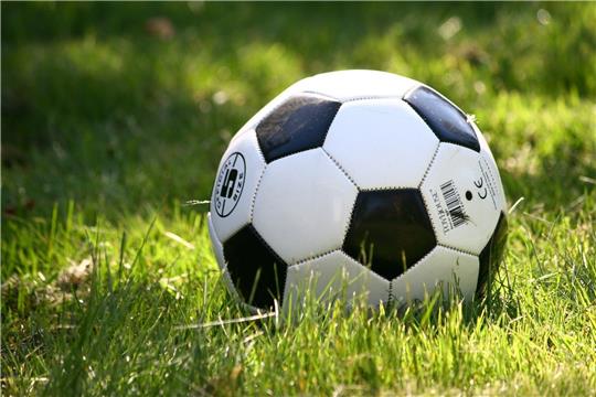 <p>Ein Fußball liegt auf dem Rasen. Symbolfoto: Pixabay</p>