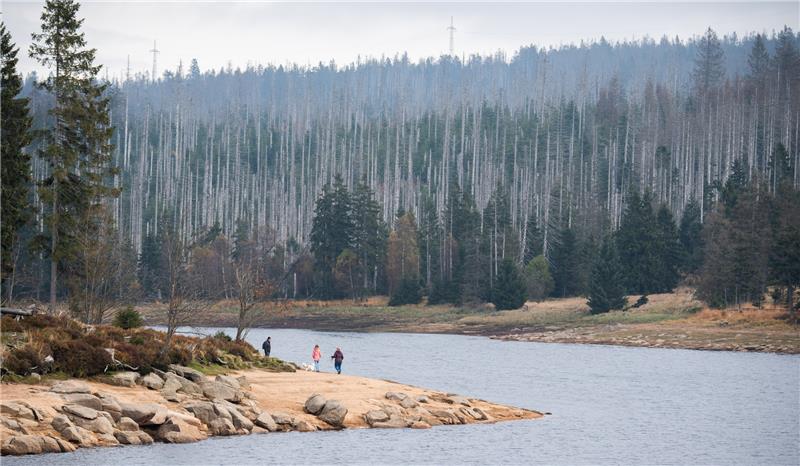 <p>Fichtenwälder stehen rund um die Talsperre Oderteich im Nationalpark Harz. Neben Dürre setzen den Wäldern die Borkenkäfer stark zu. Foto: picture alliance<br></p>