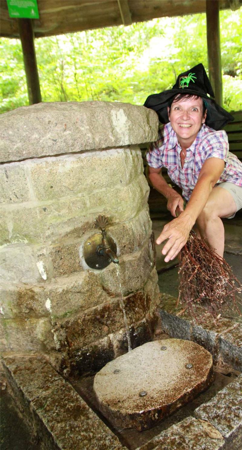<p>Gesund soll das Wasser sein, das aus der Schwefelquelle emporsteigt. Sie ist von einer Schutzhütte umgeben, die der Harzklub-Zweigverein Bad Harzburg pflegt. Wanderführerin Ines Hohlbein, die Mitglied des Vereins ist und auch als Hexe Tula (nicht nur mit Hut und Besen ausstaffiert) loszieht, hat die Stelle als eine ihrer Lieblingsplätze auserkoren. Umgeben ist die Hütte von Mischwald, neben ihr fließt die Radau. Foto: Potthast</p>