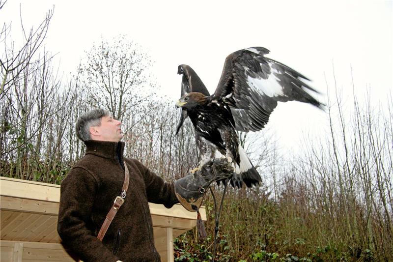 <p>Marcus Rinke investiert einen Großteil seiner Freizeit in die Ausbildung seiner beiden Adler-Weibchen Nuhi und Mascha. Foto: Deshkin</p>