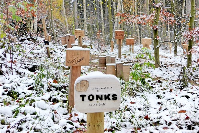<p>Mehr als 850 Tiere liegen im Abschiedswald. Ihre Gräber sind mit Holzschildern gekennzeichnet, die im Laufe der Jahre verwittern werden. Fotos: Schlegel</p>