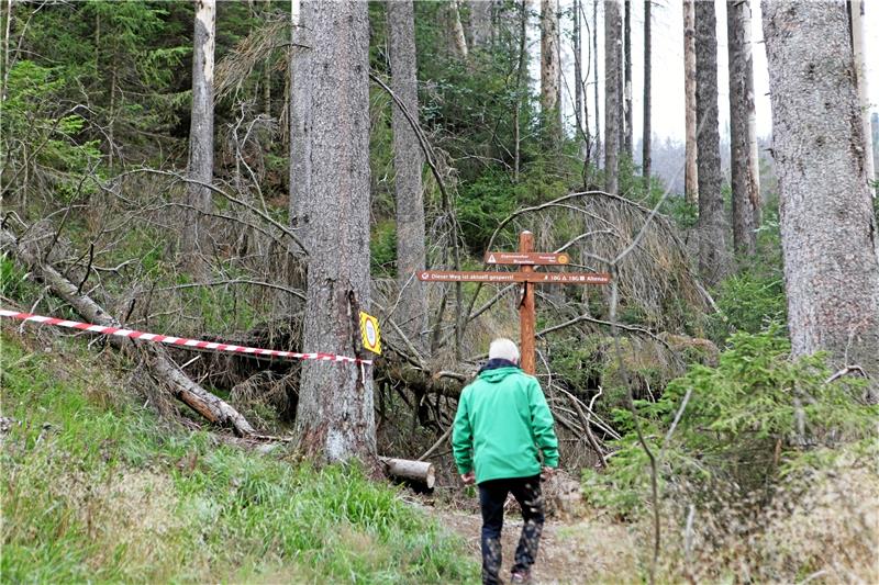 <p>Warnschilder und Wegweiser deuten darauf hin, dass der Magdburger Weg gesperrt ist. Das Flatterband wird noch durch einen Zaun ersetzt werden. Fotos: Bruns</p>
