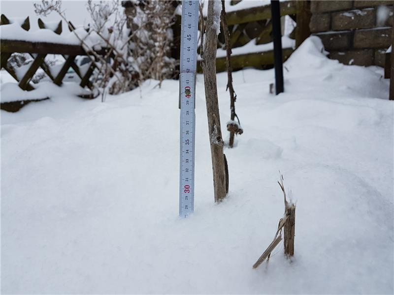 <p>Wenige Tage vor dem kalendarischen Frühlingsanfang kehrte der Winter mit heftigem Schneefall auch am Harzrand wie hier in Bad Harzburg zurück. Foto: Beckmann</p>
