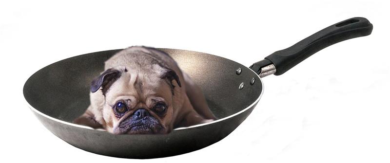 Gewonnen! Da wird der Hund in der Pfanne verrückt <p>Wenn der Hund in der Pfanne verrückt wird, ist jemand außerordentlich verblüfft.</p>