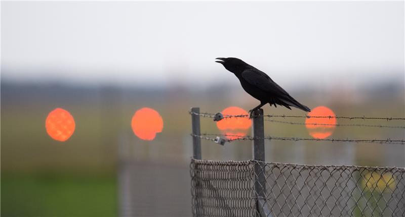 picture alliance/dpa | Julian Stratenschulte