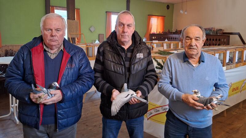 Nordharz: Jungtaubenausstellung ist ein Kopf-an-Kopf-Rennen (v.l.) Heinz Storbeck, Klaus-Dieter Sommer und Karl-Heinz Mergard präsentieren ihre Siegertauben.