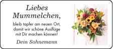 Anzeige